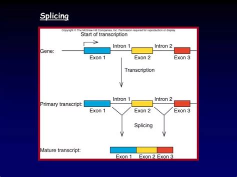 Image result for Splicing Element Position Java