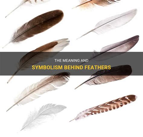 Image result for Python Script Icon Blue Feather