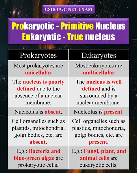 Prokaryotic Vs Eukaryotic / Unicellular Vs Multicellular Organism ...