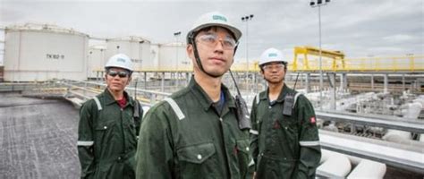 Image result for Dialog Group