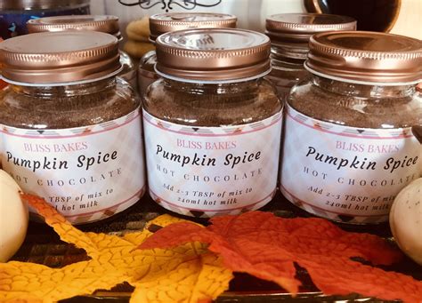 Pumpkin Spice Hot Chocolate Mix – Bliss Bakes