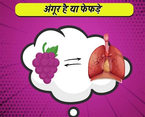 Foods That Resemble the Organs They Help in Hindi | foods that resemble ...