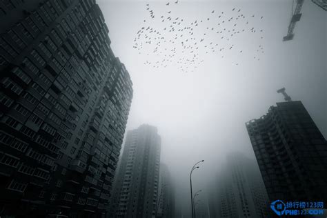 2016雾霾城市排行榜,中国雾霾城市排名及分布图_排行榜123网