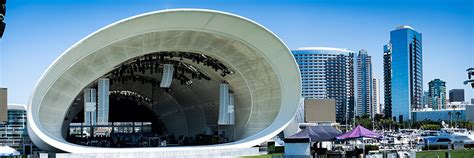 Image result for In the Shell