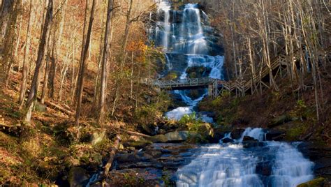 Explore the Tallest Waterfall in the South at Georgia's Amicalola Falls