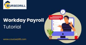 Image result for Payroll Tutorial for Beginners