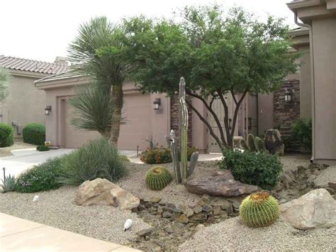 desert landscaping ideas