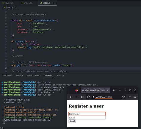 How to Use a Form with MySQL JS 的图像结果