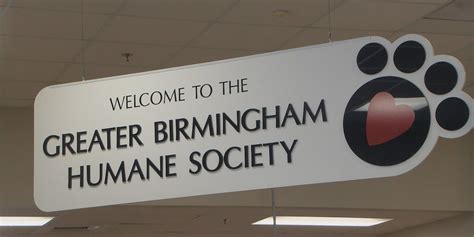 Greater Birmingham Humane Society temporarily pauses dog adoptions ...