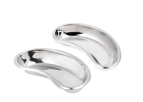 DARSHMOTI Stainless Steel Kidney Tray,(10''inches) 250mm,(Pack of 2 ...