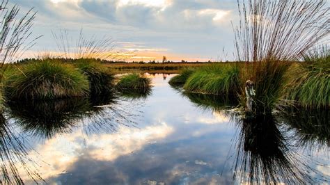 World Wetland Day 2023: Date, history, theme, significance, quotes and ...