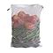 Buy Beddify Set of 12 Reusable Fridge Storage Bags for Vegetables and ...