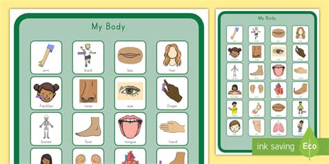 My Body Vocabulary Poster (teacher made)