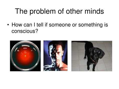 Image result for Visual Awareness