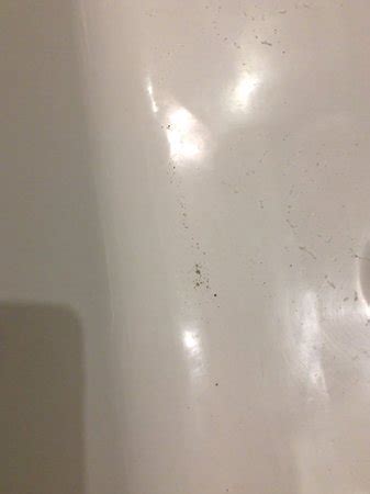 THE LODGE ROOMS (Forest of Dean/Coleford, Gloucestershire) - Cottage ...