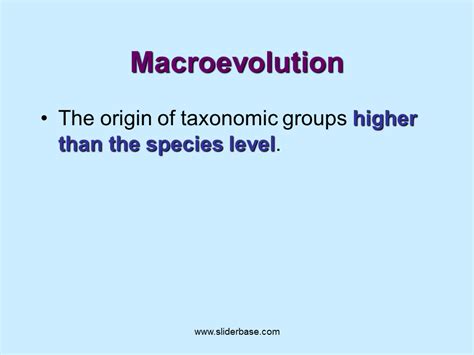 Image result for How Tmacroevolution