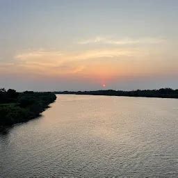 Best Top Rated National reserve in Parangipettai, Tamil Nadu, India ...