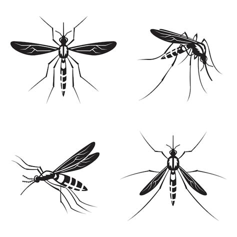 Monochrome collection of mosquito with stinger | Premium Vector