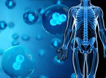 Image result for Deep Tissue Injuries