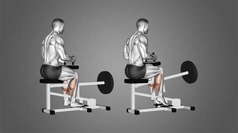 Seated Knee Extension: Benefits, Muscles Worked, And More – WDXO