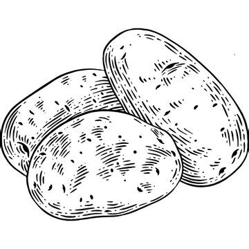 Image result for Potato Man Project Python Coding