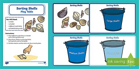 Sorting Shells Play Table Display Labels (teacher made)