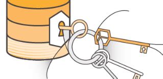 Key Management Service 的图像结果