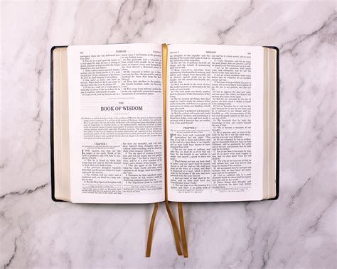 Image result for Douay-Rheims Bible Printables