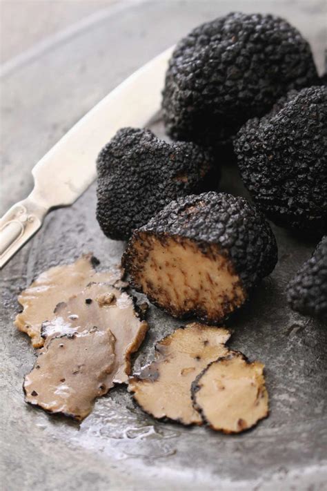 What is a Truffle (and Why They’re So Expensive) - IzzyCooking