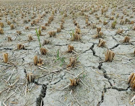 Image result for Digital Water Meter Hack