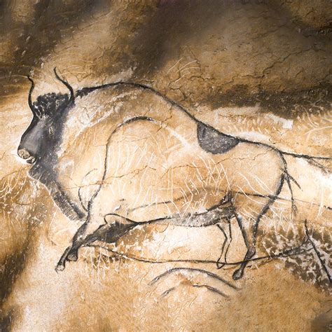 Bison Cave Painting Discovery Of Charcoal Based Painting In Dordogne's