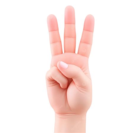 Hand Showing Three Fingers Gesture, Realistic Three Finger Hand Sign, Counting Three Hand Symbol ...