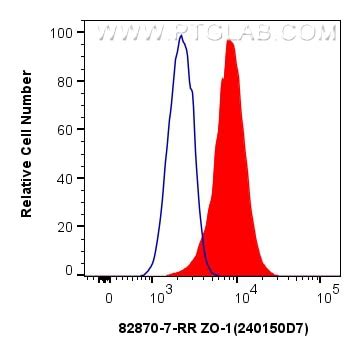 ZO-1 antibody (82870-7-PBS) | Proteintech