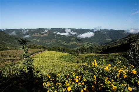 MIRANTE VALE DO RIO CARREIRO - COTIPORÃ (2026) All You Need to Know ...