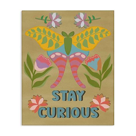 Stupell Industries Stay Curious Butterfly Canvas Wall Art By Julia Fox ...