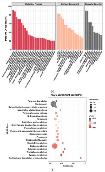 Integration of Small RNA and Degradome Sequencing Reveals the ...