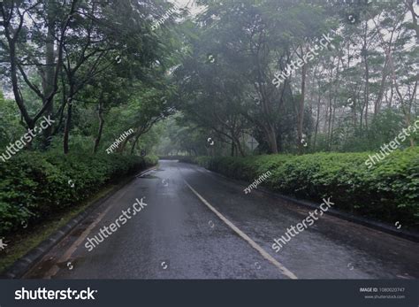 1,821 Bali Rainy Season Images, Stock Photos & Vectors | Shutterstock