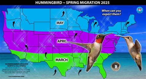 Image result for Hummingbird Tracking Map