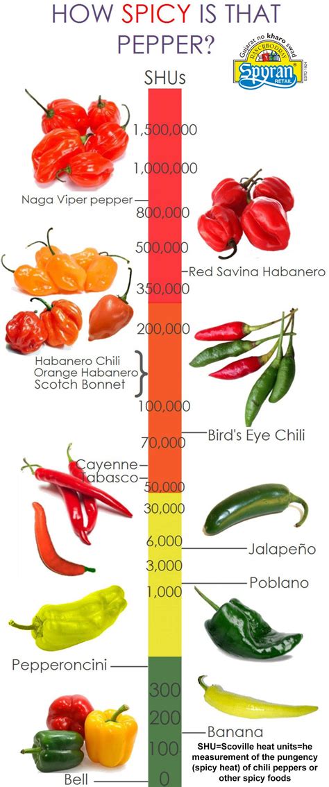 What Does Picante Mean