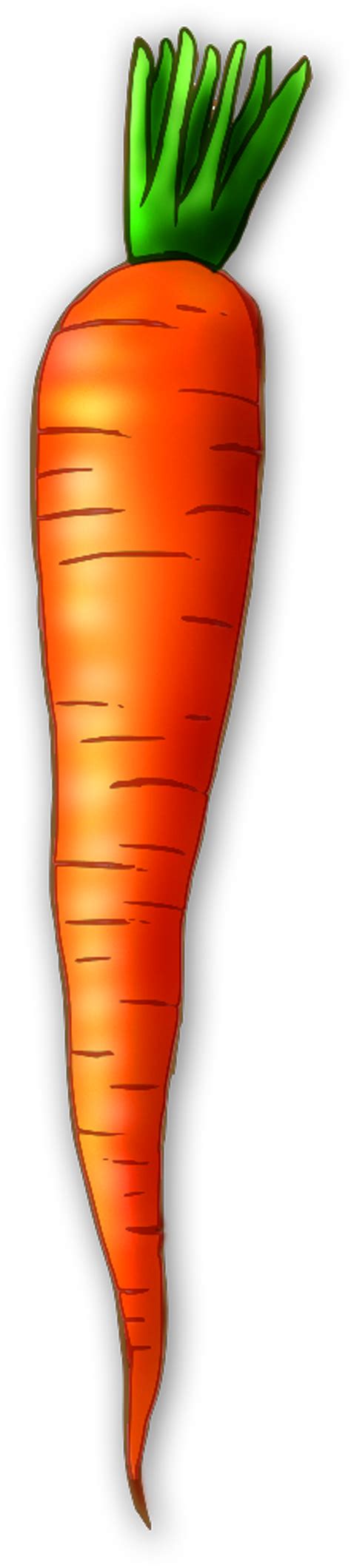 Carrot Clipart | Free download on ClipArtMag