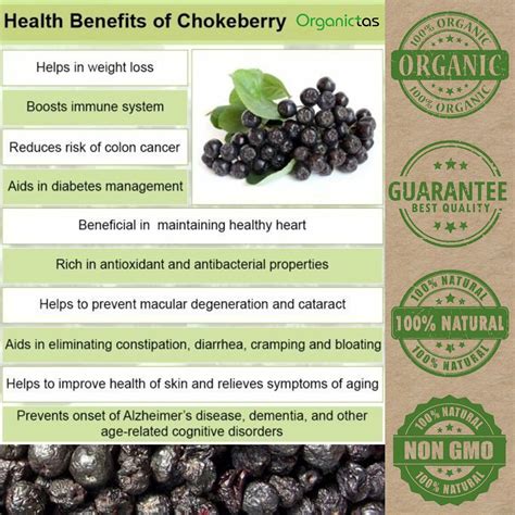 ARONIA BERRIES Dried Organic Many Health Benefits Healthy Nutrition ...