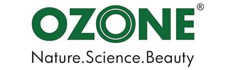 Buy Ozone Henna (Mehndi) Hair Conditioner 100 g (Pack of 2) |Enriched ...