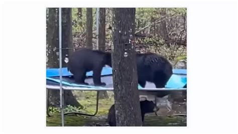 The Shadow Town of Toivola, Michigan