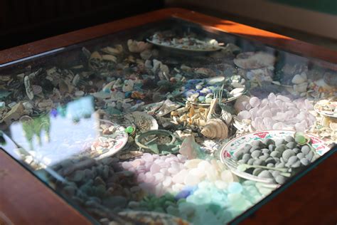 Marine Museum - The Oceanarium and Education Center