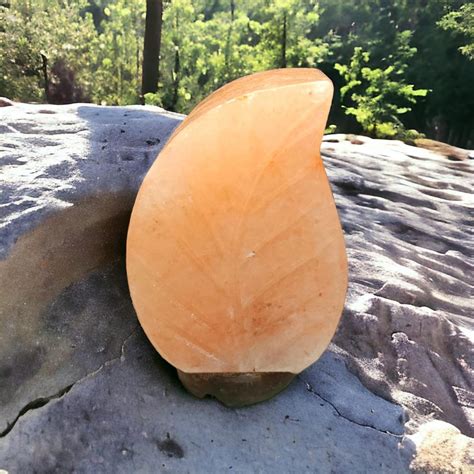 Leaf Shaped Himalayan Rock Salt Crafted Lamp | Growth & Renewal