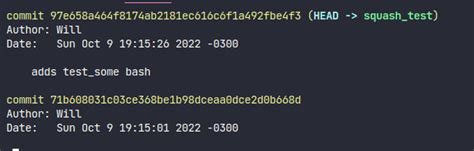 Image result for Squash Commits Git Extensions