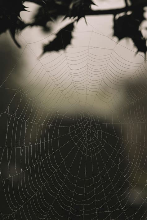 Image result for Invisible Filter