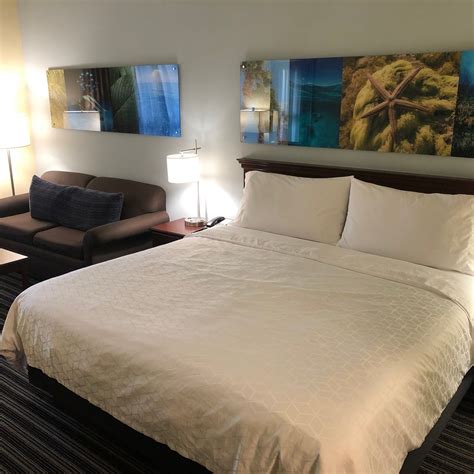 HOLIDAY INN EXPRESS & SUITES CLEARWATER NORTH/DUNEDIN BY IHG - Hotel ...