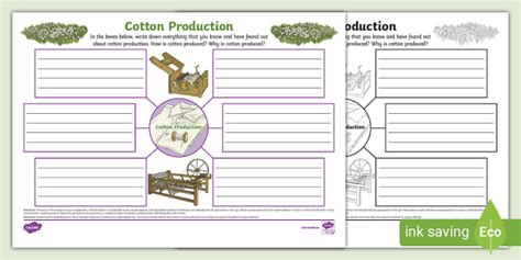 Cotton Production Mind Map