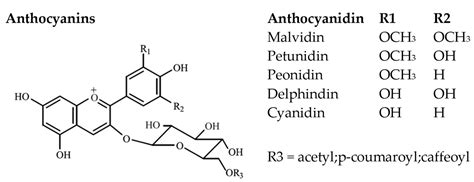 Influence of Vinification Strategies on Wine Polyphenolic Profile ...